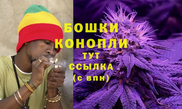 спиды Алзамай