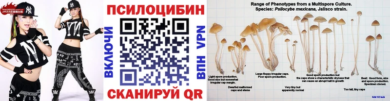 сайты даркнета официальный сайт  Буй  Псилоцибиновые грибы прущие грибы 